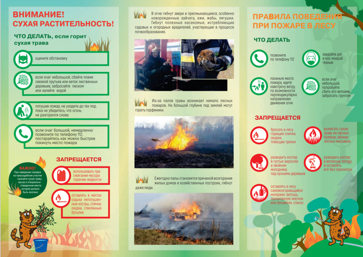 Профилактика с БНТУ: рекомендации МЧС по безопасному разведению костров на  придомовой территории – Белорусский национальный технический университет  (БНТУ/BNTU)