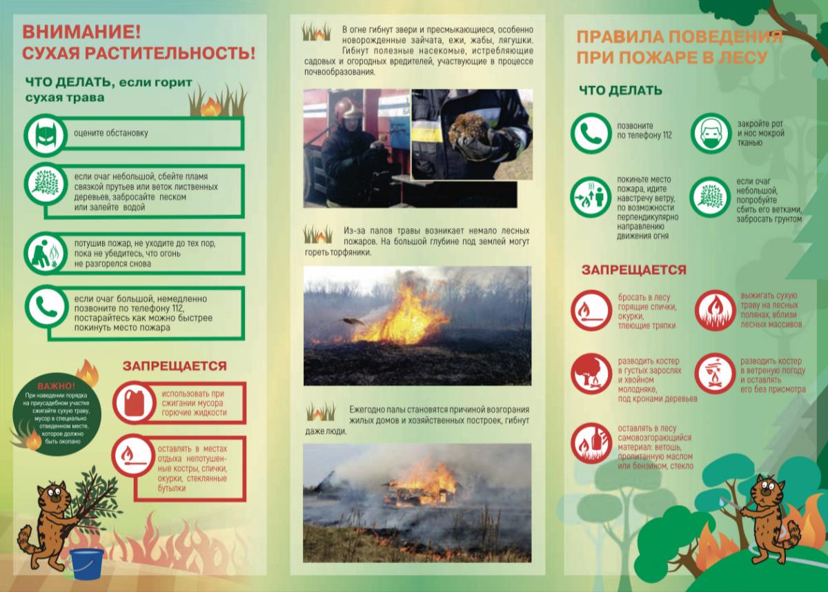 Предупреждение пожаров из-за пала травы – Белорусский национальный  технический университет (БНТУ/BNTU)