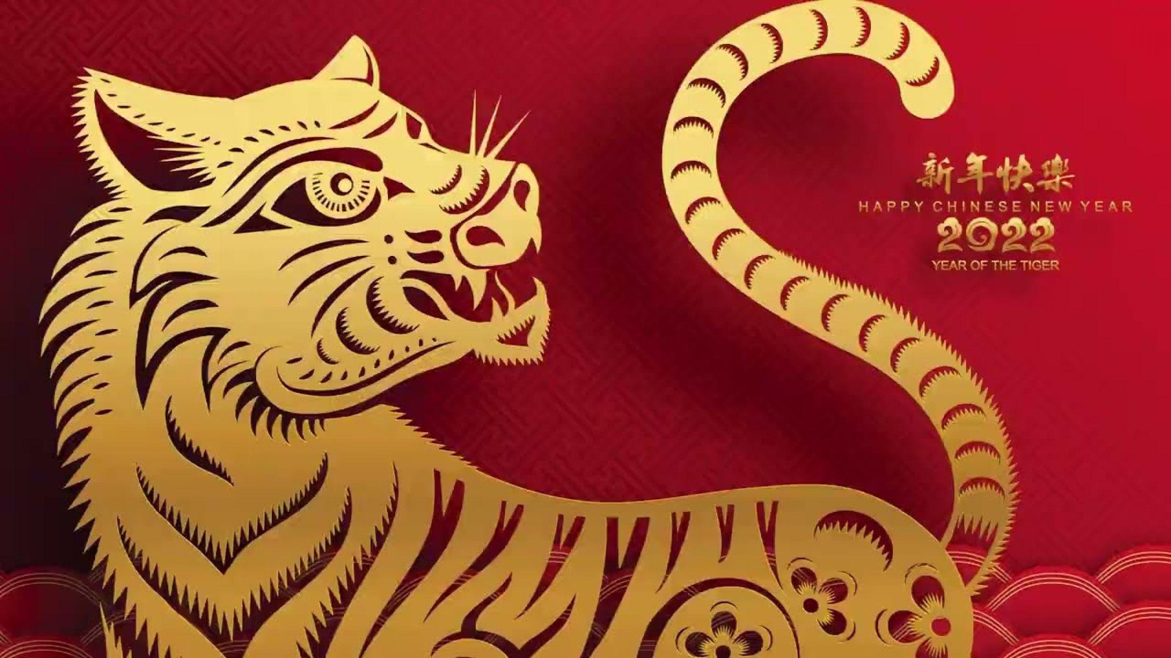 Год тигра 2025. Китайский новый год. Китайский новый год тигра. Новый год 2022 год тигра. С китайским новым годом тигра.